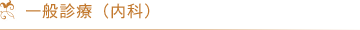 一般診療（内科）