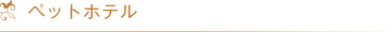 ペットホテル