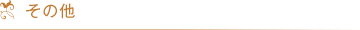 その他