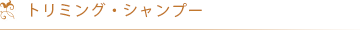 シャンプー